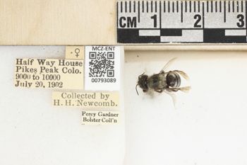 Media type: image;   Entomology 793089 Aspect: Labels